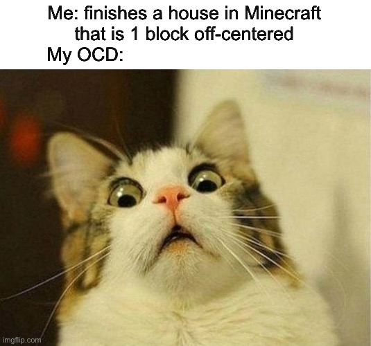 Scared Cat Meme | Me: finishes a house in Minecraft that is 1 block off-centered
My OCD: | image tagged in memes,scared cat | made w/ Imgflip meme maker