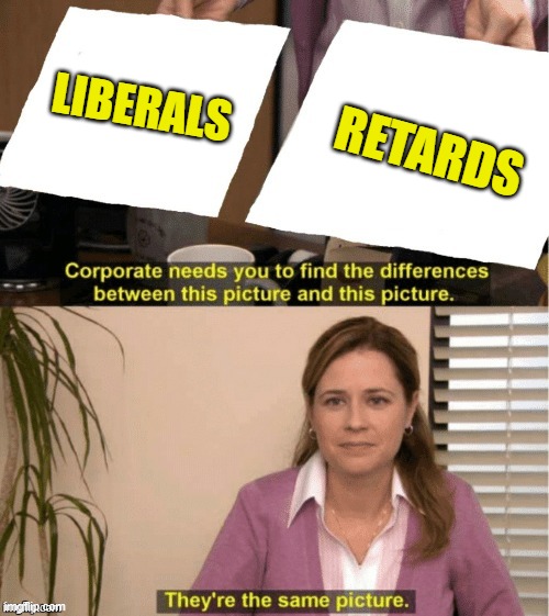 They’re the same thing | LIBERALS RETARDS | image tagged in theyre the same thing | made w/ Imgflip meme maker