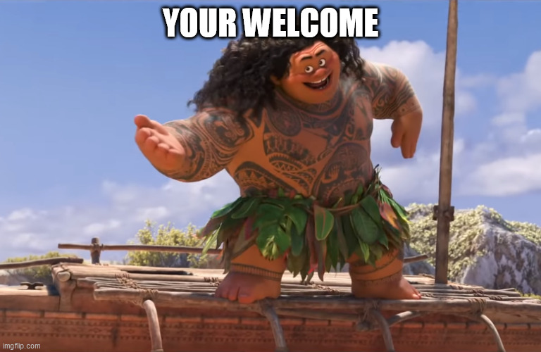 you're welcome without subs | YOUR WELCOME | image tagged in you're welcome without subs | made w/ Imgflip meme maker