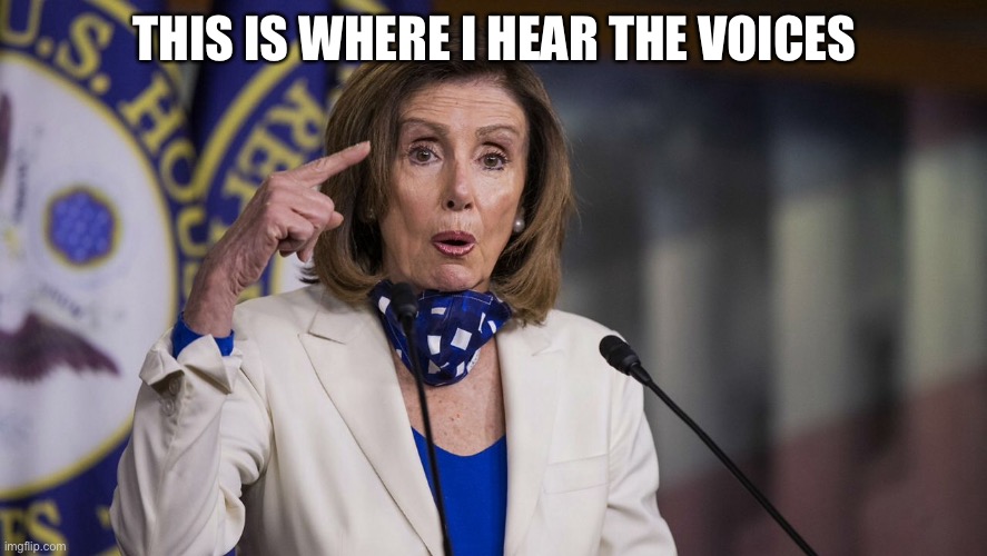 THIS IS WHERE I HEAR THE VOICES | image tagged in nut job nancy,crazy nancy,nancy pelosi | made w/ Imgflip meme maker