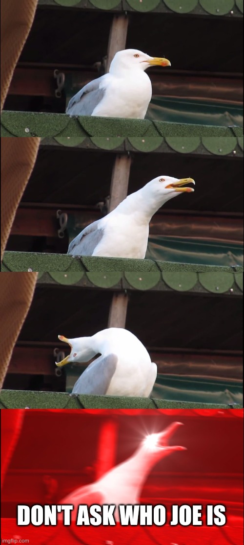 Inhaling Seagull Meme | DON'T ASK WHO JOE IS | image tagged in memes,inhaling seagull | made w/ Imgflip meme maker