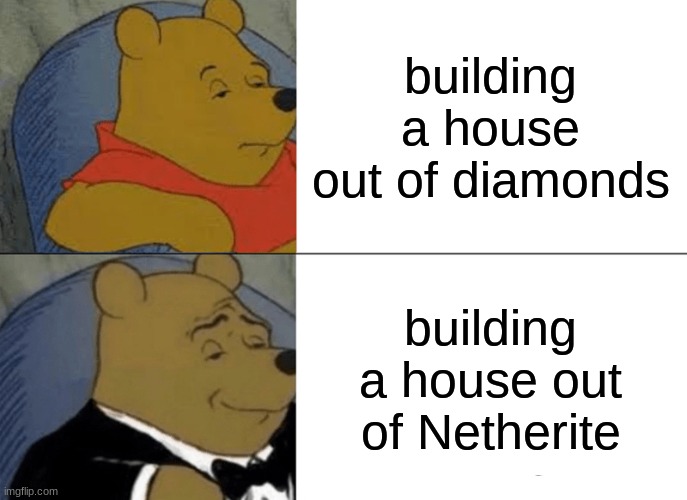 Minecraft meme | building a house out of diamonds; building a house out of Netherite | image tagged in memes,tuxedo winnie the pooh | made w/ Imgflip meme maker