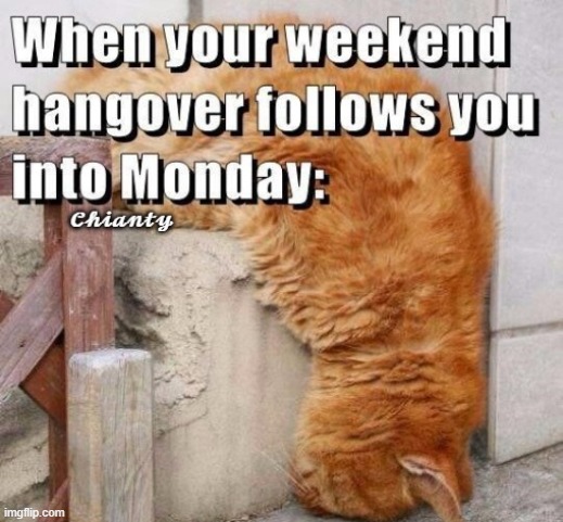 Hangover | image tagged in weekend | made w/ Imgflip meme maker