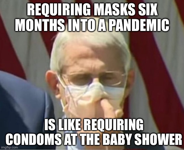 Truth. | REQUIRING MASKS SIX MONTHS INTO A PANDEMIC; IS LIKE REQUIRING CONDOMS AT THE BABY SHOWER | image tagged in coronavirus,covidiots | made w/ Imgflip meme maker