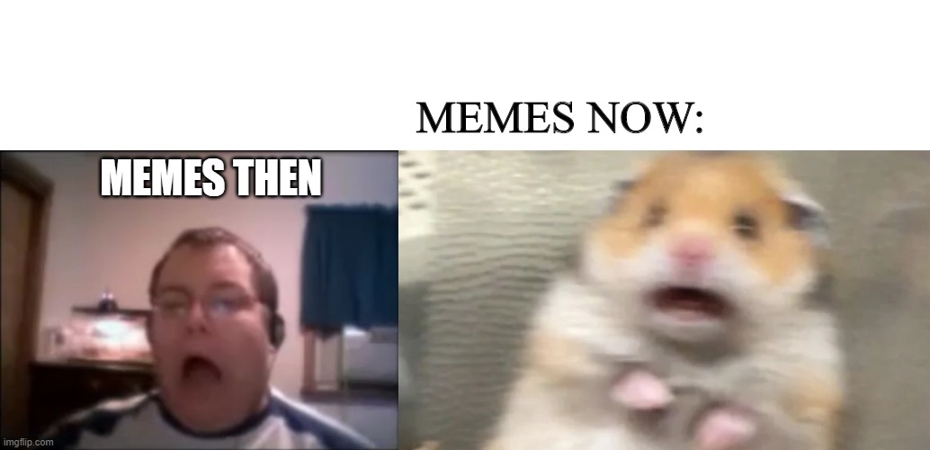 Numa Numa guy looks like the traumatized hamster | MEMES NOW:; MEMES THEN | image tagged in scared hamster,numa numa,memes then | made w/ Imgflip meme maker