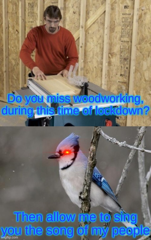 Woodworking ASMR |  Do you miss woodworking, during this time of lockdown? Then allow me to sing you the song of my people | image tagged in asmr,woodworking,blue jays,i hate blue jays,funny,let me sing you the song of my people | made w/ Imgflip meme maker