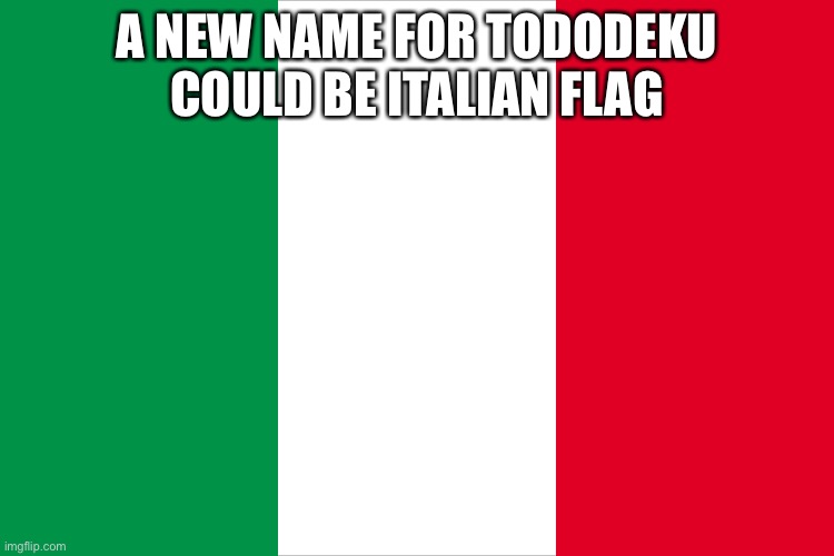 the Italian flag | A NEW NAME FOR TODODEKU COULD BE ITALIAN FLAG | image tagged in the italian flag | made w/ Imgflip meme maker