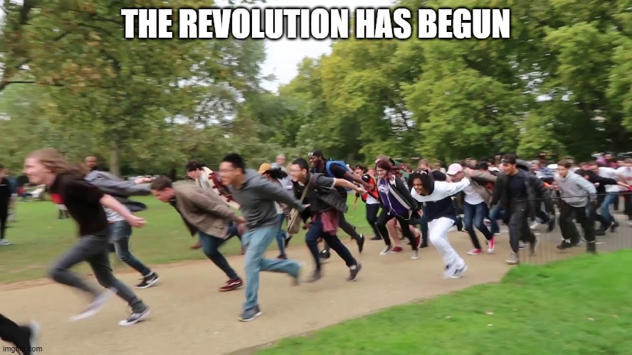 Naruto runners | THE REVOLUTION HAS BEGUN | image tagged in naruto runners | made w/ Imgflip meme maker