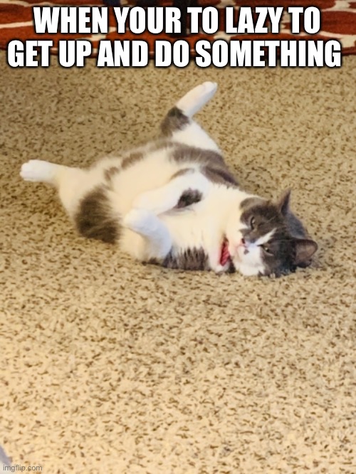 Cat meme | WHEN YOUR TO LAZY TO GET UP AND DO SOMETHING | image tagged in leahjohnson1 | made w/ Imgflip meme maker