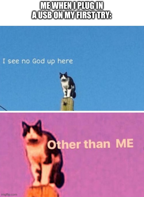 A cat meme | ME WHEN I PLUG IN A USB ON MY FIRST TRY: | image tagged in i see no god up here | made w/ Imgflip meme maker