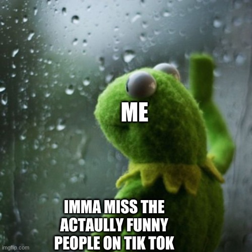 sometimes I wonder  | ME; IMMA MISS THE ACTAULLY FUNNY PEOPLE ON TIK TOK | image tagged in sometimes i wonder | made w/ Imgflip meme maker