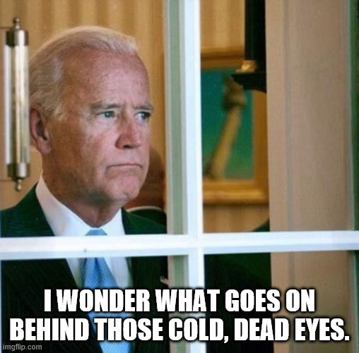 Sad Joe Biden | I WONDER WHAT GOES ON BEHIND THOSE COLD, DEAD EYES. | image tagged in sad joe biden | made w/ Imgflip meme maker
