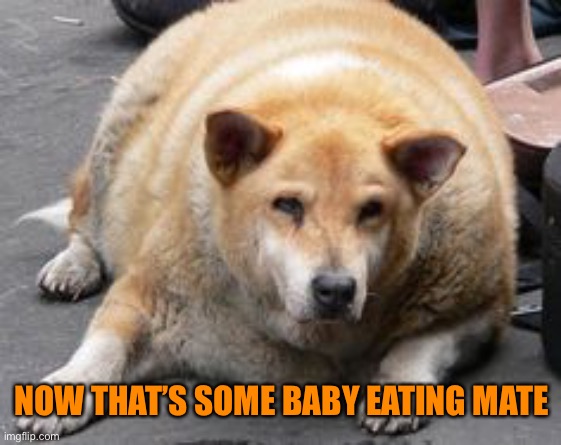 NOW THAT’S SOME BABY EATING MATE | made w/ Imgflip meme maker