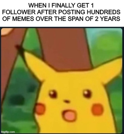 I wish :'( | WHEN I FINALLY GET 1 FOLLOWER AFTER POSTING HUNDREDS OF MEMES OVER THE SPAN OF 2 YEARS | image tagged in surprised pikachu,followers,funny memes,fun,reaction | made w/ Imgflip meme maker