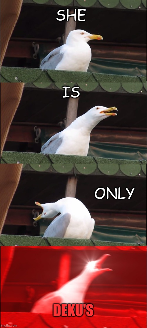 Inhaling Seagull Meme | SHE IS ONLY DEKU'S | image tagged in memes,inhaling seagull | made w/ Imgflip meme maker