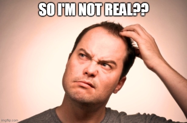 puzzled man | SO I'M NOT REAL?? | image tagged in puzzled man | made w/ Imgflip meme maker