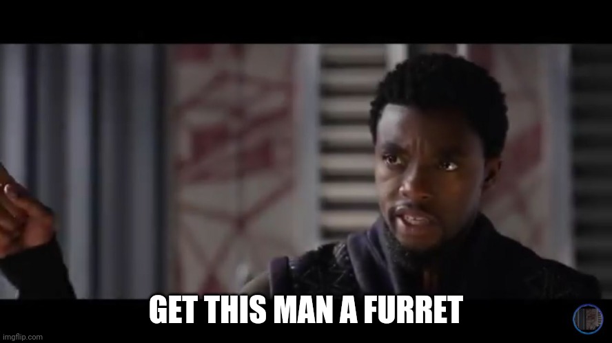 Black Panther - Get this man a shield | GET THIS MAN A FURRET | image tagged in black panther - get this man a shield | made w/ Imgflip meme maker