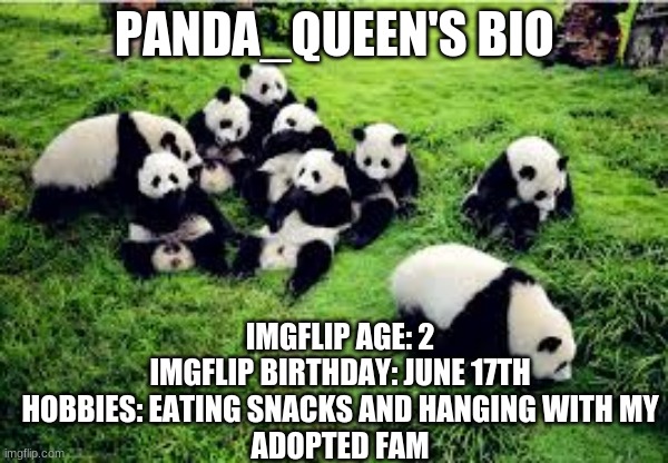 I also like Making memes | PANDA_QUEEN'S BIO; IMGFLIP AGE: 2
IMGFLIP BIRTHDAY: JUNE 17TH
HOBBIES: EATING SNACKS AND HANGING WITH MY
ADOPTED FAM | image tagged in idk | made w/ Imgflip meme maker