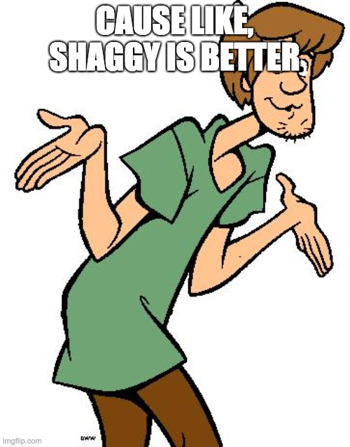 Shaggy from Scooby Doo | CAUSE LIKE, SHAGGY IS BETTER | image tagged in shaggy from scooby doo | made w/ Imgflip meme maker