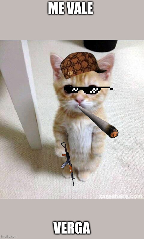 Cute Cat Meme | ME VALE; VERGA | image tagged in memes,cute cat | made w/ Imgflip meme maker
