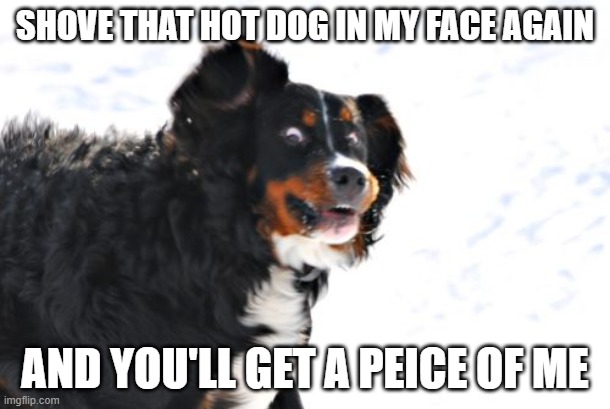 Crazy Dawg Meme | SHOVE THAT HOT DOG IN MY FACE AGAIN; AND YOU'LL GET A PEICE OF ME | image tagged in memes,crazy dawg | made w/ Imgflip meme maker