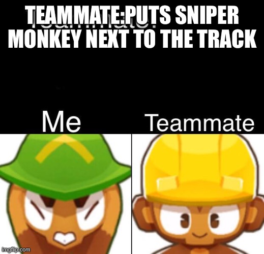 WHY? | TEAMMATE:PUTS SNIPER MONKEY NEXT TO THE TRACK | image tagged in bloons td 6 teammate | made w/ Imgflip meme maker