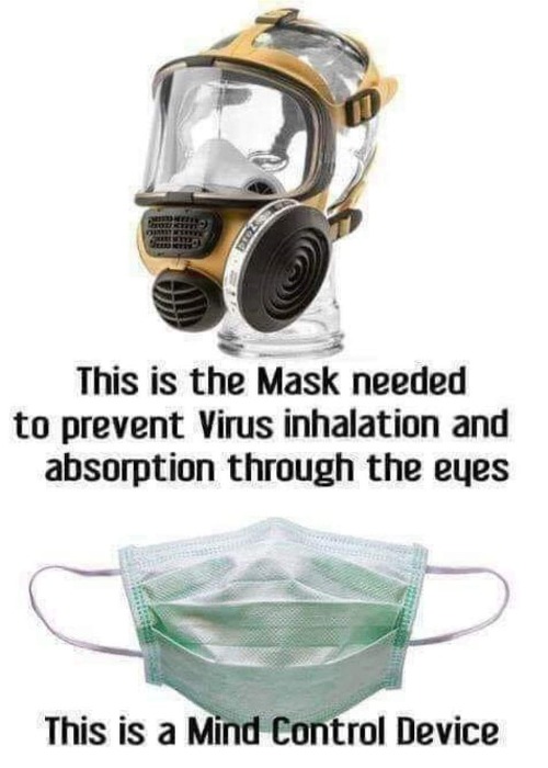 Are You Mask Wearers Feeling Stupid Yet? | image tagged in the mask,mind control,covidiots,sheeple,stupid sheep,false hope | made w/ Imgflip meme maker