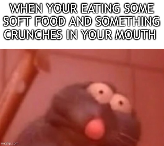 WHEN YOUR EATING SOME SOFT FOOD AND SOMETHING CRUNCHES IN YOUR MOUTH | image tagged in rat,crunch,memes,ratatouille | made w/ Imgflip meme maker