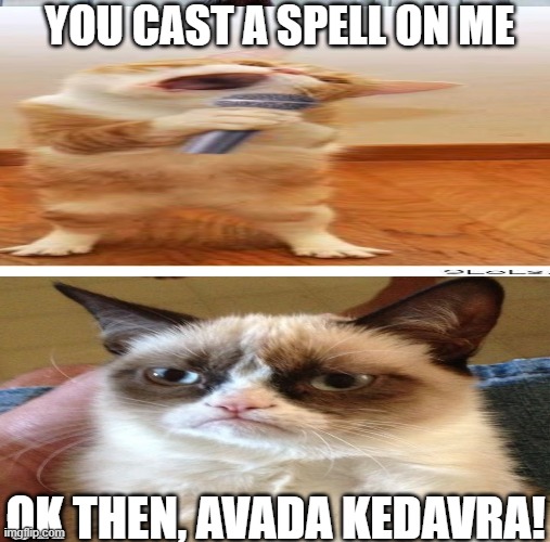 Avada Kedavra! #Harrypotterfan | YOU CAST A SPELL ON ME; OK THEN, AVADA KEDAVRA! | image tagged in harry potter | made w/ Imgflip meme maker
