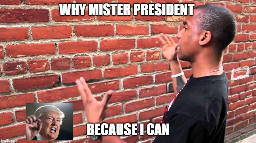 Talking to wall | WHY MISTER PRESIDENT; BECAUSE I CAN | image tagged in talking to wall | made w/ Imgflip meme maker
