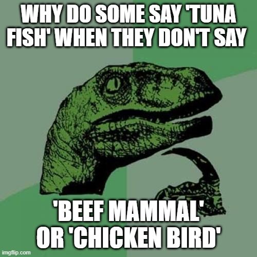 Thinking Hard | WHY DO SOME SAY 'TUNA FISH' WHEN THEY DON'T SAY; 'BEEF MAMMAL' OR 'CHICKEN BIRD' | image tagged in memes,philosoraptor,shower thought,difficult question | made w/ Imgflip meme maker