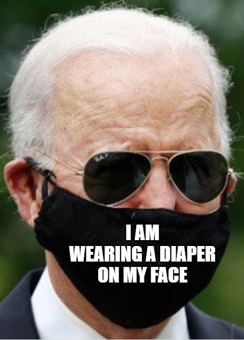 Diaper Face |  I AM WEARING A DIAPER ON MY FACE | image tagged in coronavirus meme,face mask,hoax,assclownery,diaper | made w/ Imgflip meme maker