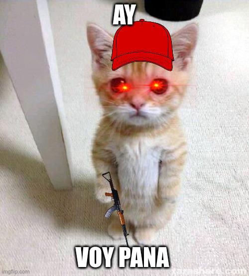 Cute Cat Meme | AY; VOY PANA | image tagged in memes,cute cat | made w/ Imgflip meme maker