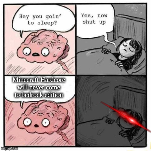 Hey you going to sleep? | Minecraft Hardcore will never come to bedrock edition | image tagged in hey you going to sleep | made w/ Imgflip meme maker