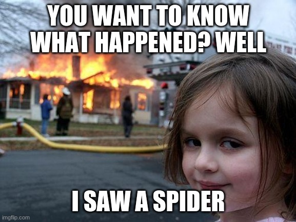 :) | YOU WANT TO KNOW WHAT HAPPENED? WELL; I SAW A SPIDER | image tagged in memes,disaster girl | made w/ Imgflip meme maker