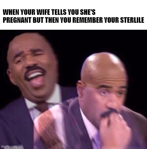 the moment you realize she a cheater | WHEN YOUR WIFE TELLS YOU SHE'S PREGNANT BUT THEN YOU REMEMBER YOUR STERLILE | image tagged in steve harvey laughing serious | made w/ Imgflip meme maker