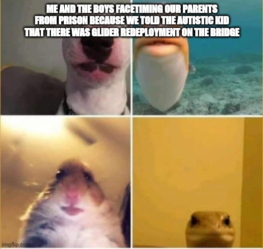 Animals on Facetime | ME AND THE BOYS FACETIMING OUR PARENTS FROM PRISON BECAUSE WE TOLD THE AUTISTIC KID THAT THERE WAS GLIDER REDEPLOYMENT ON THE BRIDGE | image tagged in animals on facetime | made w/ Imgflip meme maker