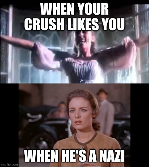 Oof | WHEN YOUR CRUSH LIKES YOU; WHEN HE'S A NAZI | image tagged in oof,liesl,sound of music | made w/ Imgflip meme maker