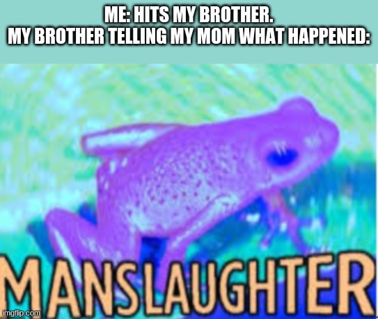 Manslaughter | ME: HITS MY BROTHER.
MY BROTHER TELLING MY MOM WHAT HAPPENED: | image tagged in manslaughter | made w/ Imgflip meme maker