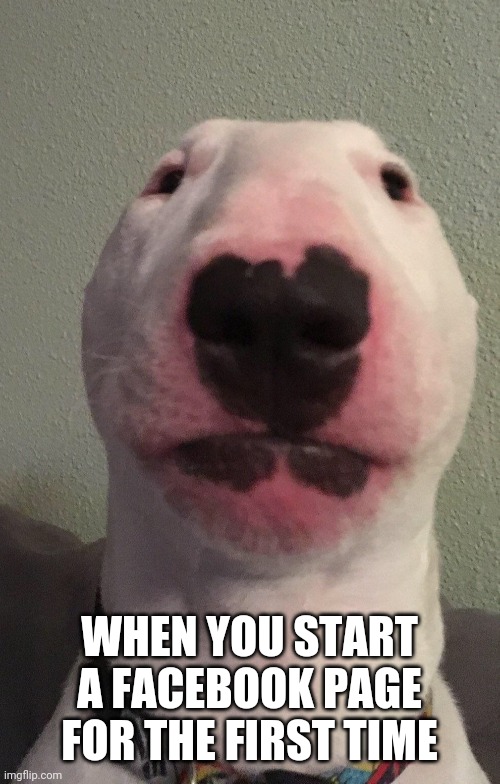 Walter | WHEN YOU START A FACEBOOK PAGE FOR THE FIRST TIME | image tagged in walter | made w/ Imgflip meme maker