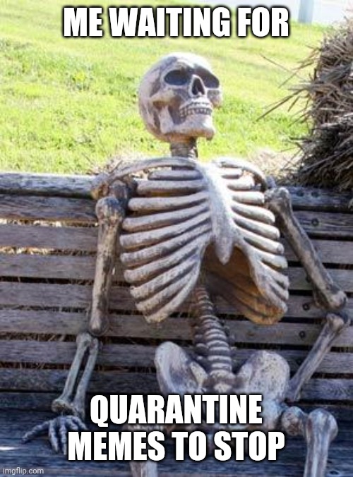 Waiting Skeleton | ME WAITING FOR; QUARANTINE MEMES TO STOP | image tagged in memes,waiting skeleton | made w/ Imgflip meme maker