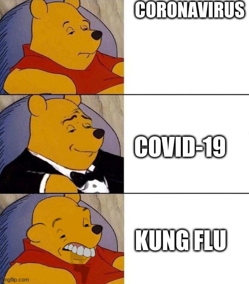 if you're racist enough to say it please leave | CORONAVIRUS; COVID-19; KUNG FLU | image tagged in best better blurst | made w/ Imgflip meme maker