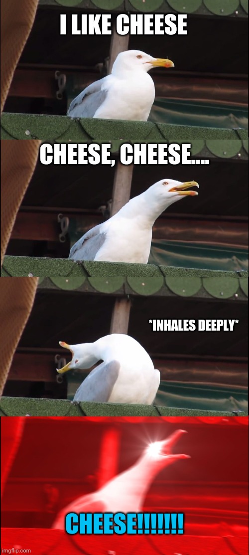A Cheesey Seagull | I LIKE CHEESE; CHEESE, CHEESE.... *INHALES DEEPLY*; CHEESE!!!!!!! | image tagged in memes,inhaling seagull,cheese,sparkle xd,seagull,cheese | made w/ Imgflip meme maker