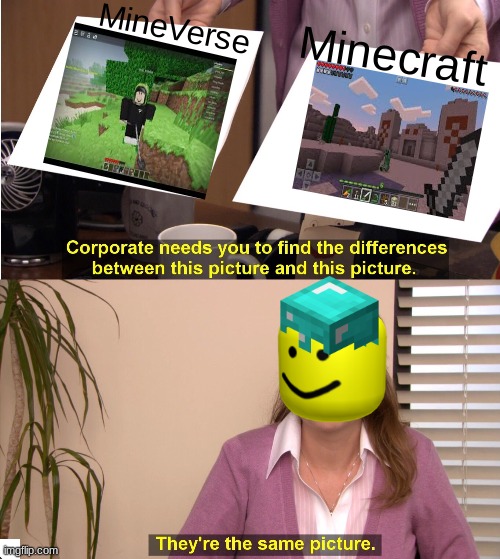 mineverse and minecraft? hmmmmmmmm same thing | MineVerse; Minecraft | image tagged in memes,they're the same picture | made w/ Imgflip meme maker