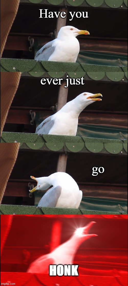 Honk | Have you; ever just; go; HONK | image tagged in memes,inhaling seagull | made w/ Imgflip meme maker