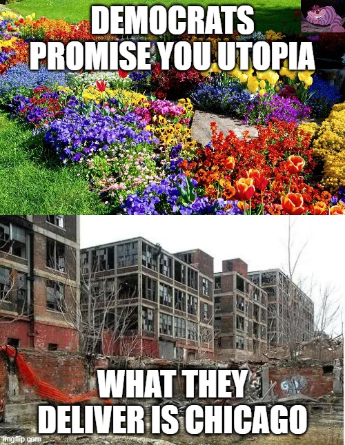 or Detroit, or Los Angeles, or St. Louis, or San Francisco, or ... | DEMOCRATS PROMISE YOU UTOPIA; WHAT THEY DELIVER IS CHICAGO | image tagged in flower garden | made w/ Imgflip meme maker