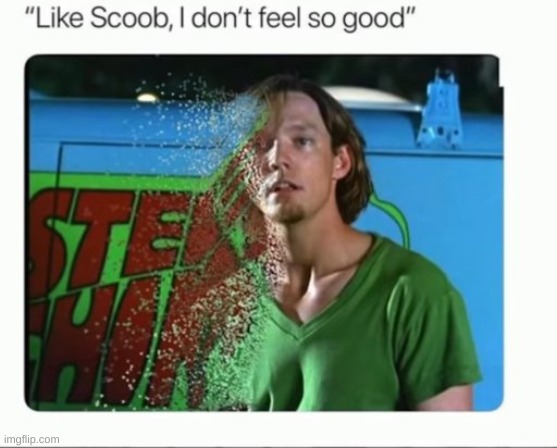 I don't feel so good | image tagged in scooby doo | made w/ Imgflip meme maker