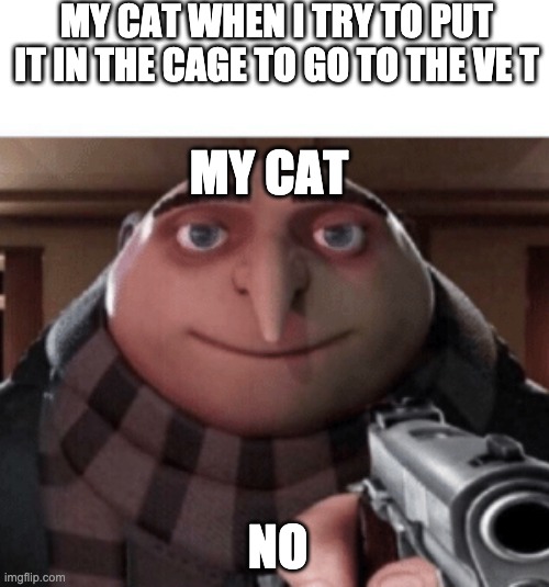 NO Gru | MY CAT WHEN I TRY TO PUT IT IN THE CAGE TO GO TO THE VE T; MY CAT; NO | image tagged in no gru | made w/ Imgflip meme maker