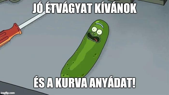 pickle viktor | image tagged in funny,uborka,pickle rick,viktor,hungary | made w/ Imgflip meme maker