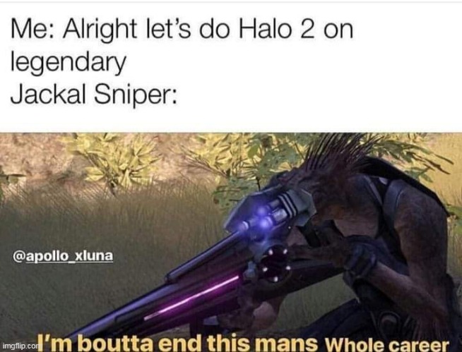 I'm boutta end this whole mans career | image tagged in halo 2 | made w/ Imgflip meme maker